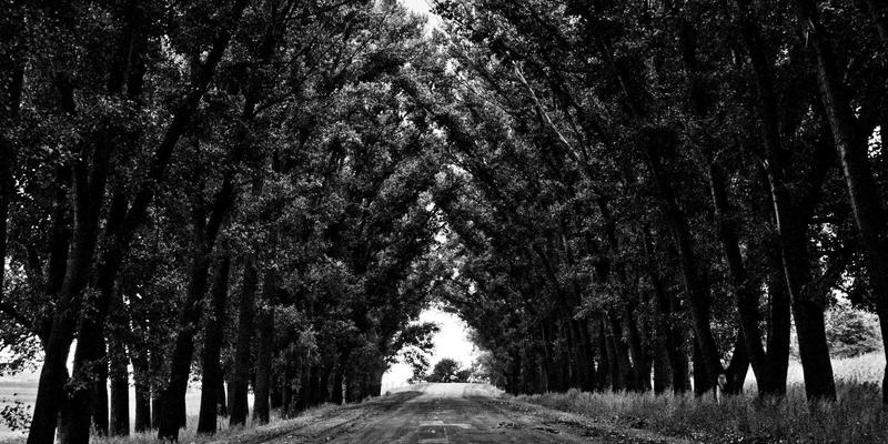 本地生活新解法：温馨社区网店如何用数据预测实现生鲜零废弃与便民购物