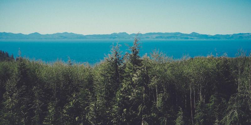 温馨社区网店O2O新实践：线上预订生鲜配送，线下自提与沉浸式到店体验的完美融合