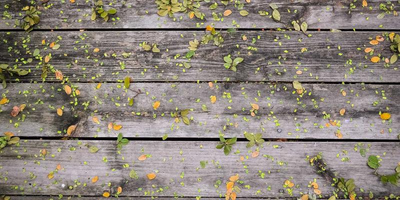 温馨社区网店如何精准选品？基于邻里画像的生鲜配送与商品优化策略