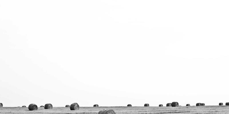 温馨社区网店如何跨界共赢？联合健身房、书店打造生活服务闭环的成功案例