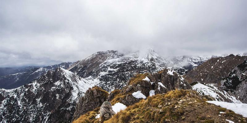 温馨社区网店携手生鲜配送平台：社区团购合作的优势与风险全解析