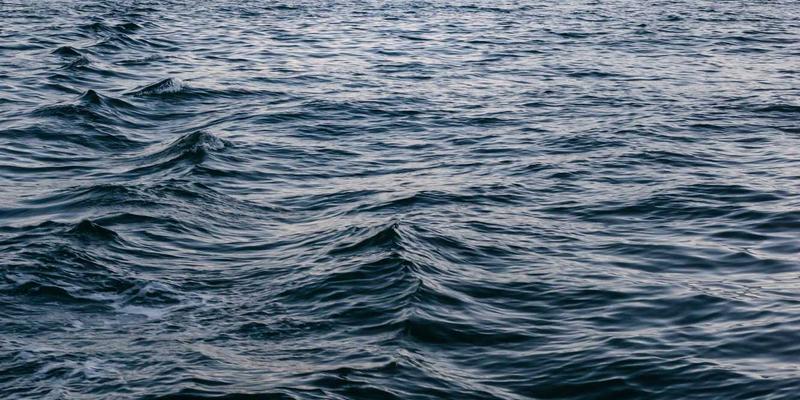 社区电商如何以邻里服务与生鲜配送突围：避开与大型商超的正面价格战