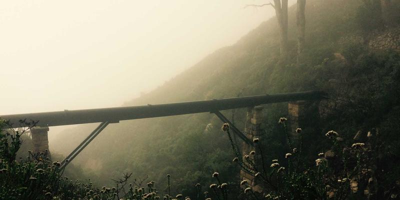 社区网店100：重新定义本地生活，打造便民购物新生态