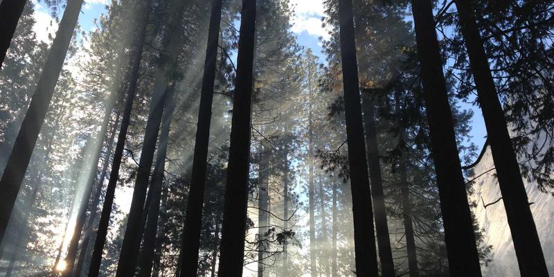 社区网店19:用邻里服务与社区电商重塑温馨社区新生态