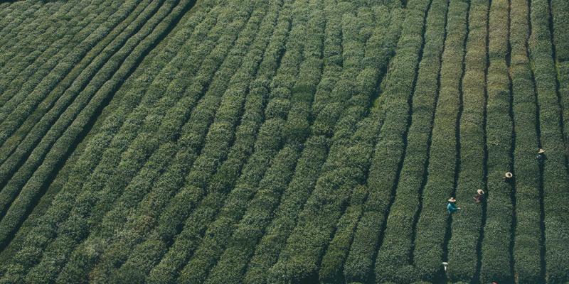 社区网店2.0:便民购物与邻里服务如何重塑社区电商新生态
