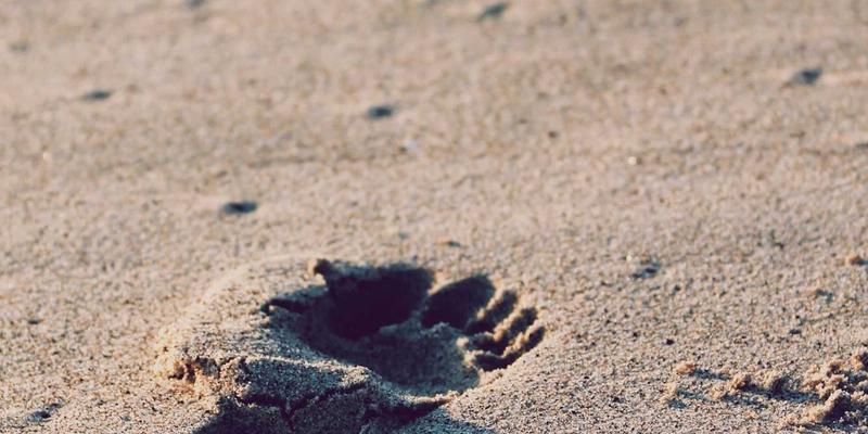 社区网店2.1：如何用本地生活服务重构社区电商新生态