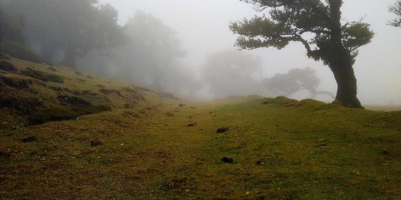 社区网店2.5时代：融合生鲜配送的社区电商新模式