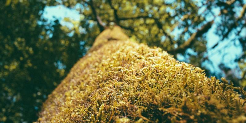 社区网店51：用电商重塑邻里温度，打造温馨社区新生态