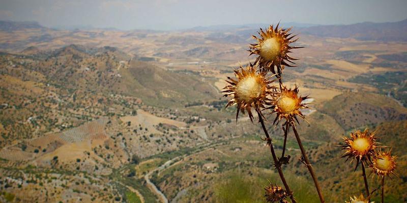 社区网店80：用生鲜配送点亮温馨社区生活