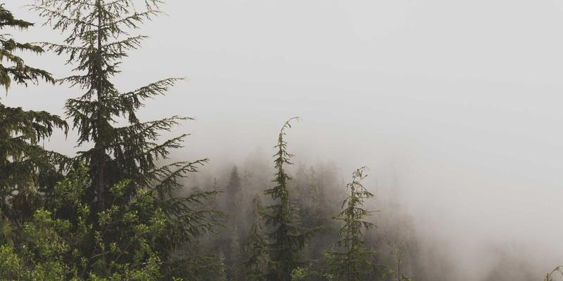 社区网店89：重构邻里生活圈的生鲜电商新模式