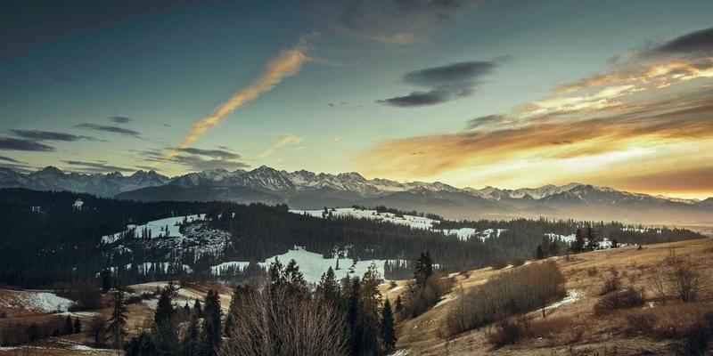 社区网店93：温馨社区里的便民购物新体验
