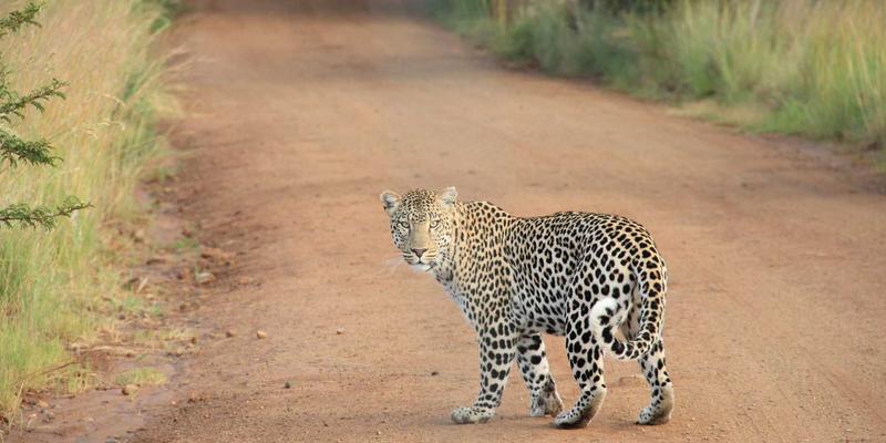 社区网店会员体系设计：如何通过积分与分层提升复购率与客单价
