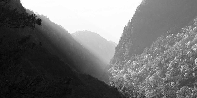 社区网店场景化陈列技巧：用有限空间撬动邻里消费，提升生鲜配送体验