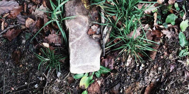 社区网店跨界合作新范式：联合洗衣店、药房打造一站式本地生活服务站