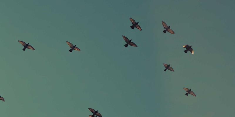 社区网店:连接邻里温情,重塑便民购物的温馨体验